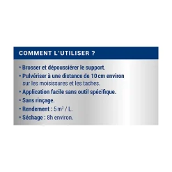 Traitement anti-moisissures intérieur extérieur Ripolin 0,5L