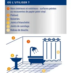 Traitement anti-moisissures intérieur extérieur Ripolin 0,5L