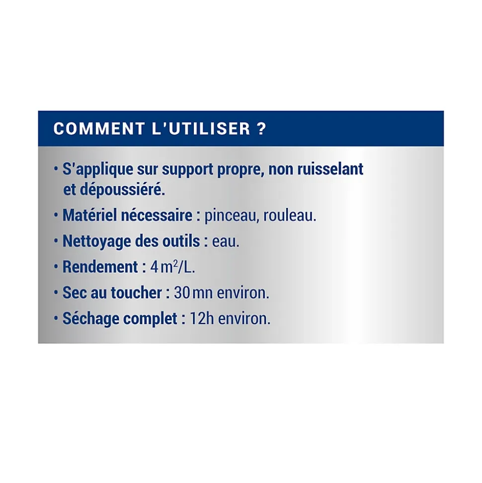 Traitement murs humides et salpêtre intérieur extérieur incolore Ripolin 0,75L