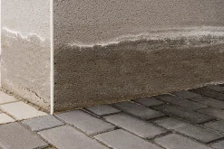 Traitement murs humides et salpêtre intérieur extérieur incolore Ripolin 0,75L