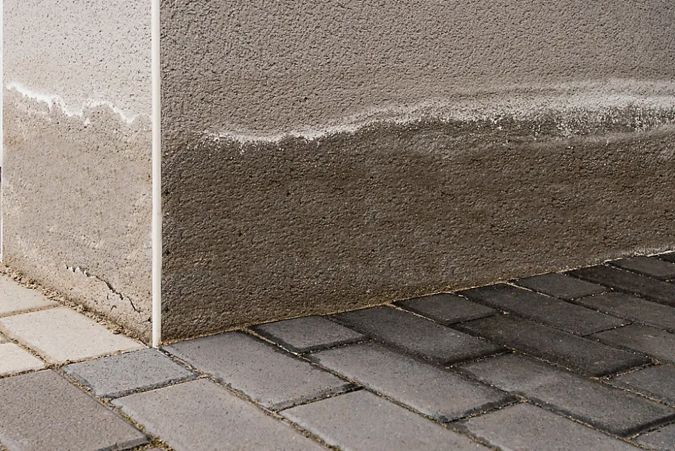 Traitement murs humides et salpêtre intérieur extérieur incolore Ripolin 0,75L