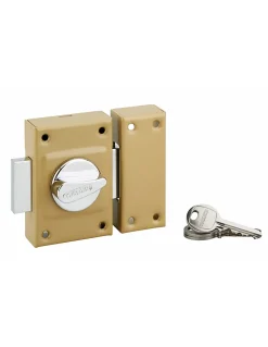 Verrou à bouton Etendard pour porte d'entrée, cylindre 40mm, acier, 3 clés, époxy bronze - THIRARD