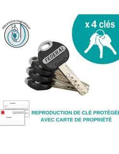 Verrou à bouton Federal pour porte d'entrée, cylindre 45mm, acier, 4 clés, époxy noir - THIRARD
