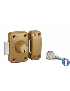 Verrou double entrée Apache pour porte d'entrée, cylindre 40mm, acier, 3 clés, époxy or - THIRARD