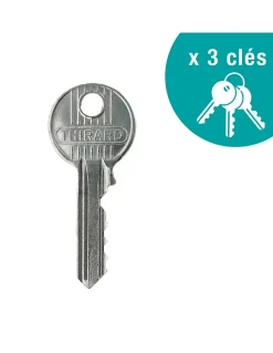 Verrou double entrée Design 5 pour porte d'entrée, cylindre 45mm, acier, 3 clés, argent - THIRARD