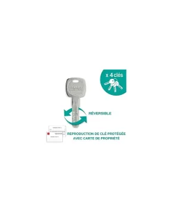 Verrou double entrée Transit 2 pour porte d'entrée, cylindre 45mm, 4 clés, époxy or - THIRARD