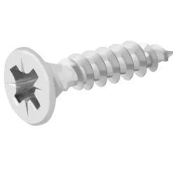 Vis à bois en acier inoxydable A2 pozidriv 4x20 mm - 200 pièces