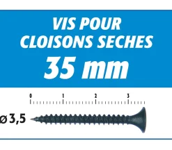 Vis Auto Perceuse 35 mm Semin - Fixation des Plaques de Plâtre sur l'Ossature - Intérieur - Boîte de 1000 Pièces