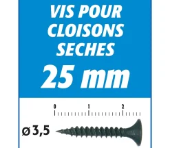 Vis Auto Perceuse 25 mm Semin - Fixation des Plaques de Plâtre sur l'Ossature - Intérieur - Boîte de 1000 Pièces (Lot de 3000)