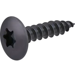 Vis de charnière zinguée noire 6x30 mm - 20 pièces