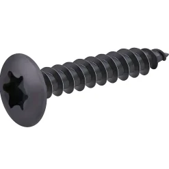 Vis de charnière zinguée noire 6x40 mm - 20 pièces