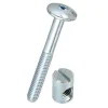 Vis tête bombée + plot en acier zingué, Ø.6 x L. 50 mm vendue par 4 pièces
