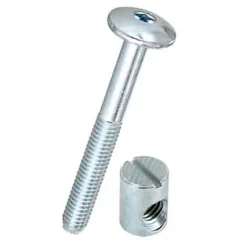 Vis tête bombée + plot en acier zingué, Ø.6 x L. 50 mm vendue par 4 pièces